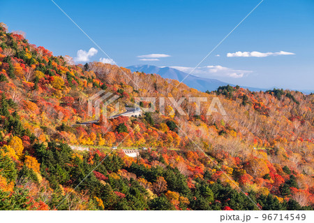 《福島県》天狗の庭の紅葉・磐梯吾妻スカイライン《紅葉最盛期》 96714549