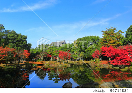 【奈良県】奈良公園の三社託宣池の紅葉 96714884
