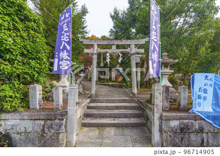 三宅八幡宮　西側の出入口にある鳥居（京都市左京区上高野） 96714905