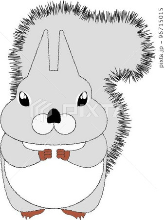 顔の大きいニホンリス冬毛　正面 96715015