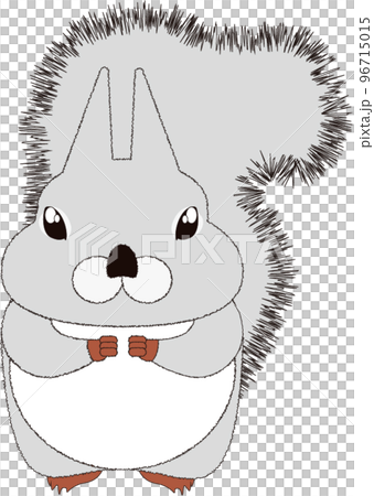 顔の大きいニホンリス冬毛　正面 96715015