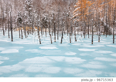 冬の青い池 96715363