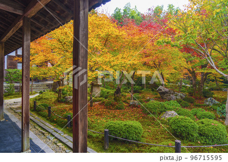 圓光寺の素晴らしい紅葉 十牛之庭(京都市左京区一乗寺) 圓光寺の素晴らしい紅葉 十牛之庭(京都市左京区一乗寺) 96715595