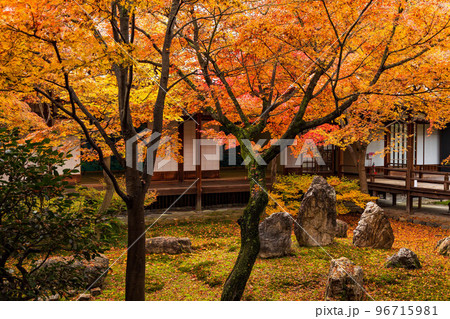 京都東山の秋　紅葉の建仁寺　潮音庭 96715981
