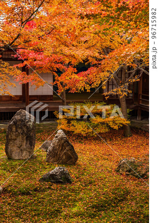 京都東山の秋　紅葉の建仁寺　潮音庭 96715982