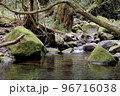 森の中の渓流 96716038