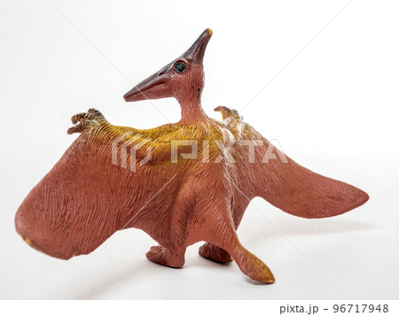 Model of a Pterodactylus. Dinosaur isolated on the white background. Close-up Model of a Pterodactylus. Dinosaur isolated on the white background. Close-up 96717948