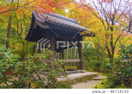 圓光寺の素晴らしい紅葉と鐘楼(京都市左京区一乗寺) 圓光寺の素晴らしい紅葉と鐘楼(京都市左京区一乗寺) 96718150