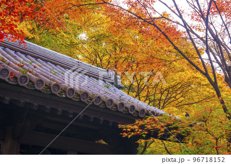 圓光寺の素晴らしい紅葉と鐘楼（京都市左京区一乗寺） 96718152
