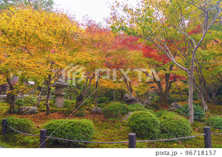 圓光寺　十牛之庭の素晴らしい紅葉（京都市左京区一乗寺） 96718157
