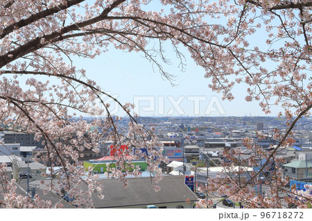 桜越しに見る名古屋都市風景 96718272