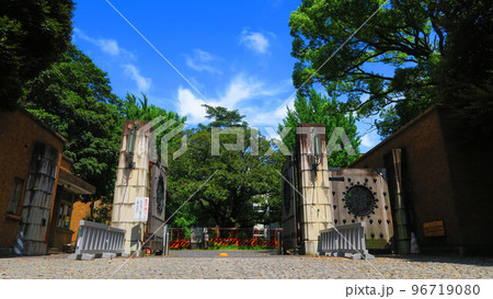 東京大学（東京都文京区本郷）構内の様々な風景 96719080