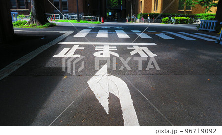 東京大学（東京都文京区本郷）構内の様々な風景 96719092