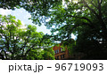 東京大学（東京都文京区本郷）構内の様々な風景 96719093