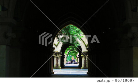 東京大学（東京都文京区本郷）構内の様々な風景 96719097