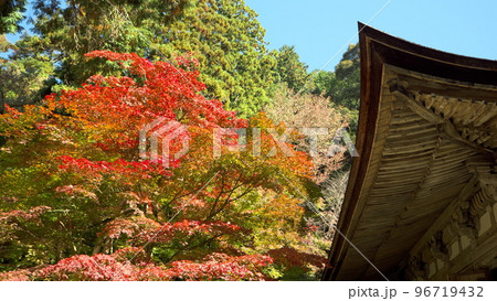 金剛輪寺　紅葉　もみじ 96719432