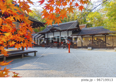 河合神社 赤く染まったモミジの葉と拝殿(京都市左京区下鴨泉川町) 河合神社 赤く染まったモミジの葉と拝殿(京都市左京区下鴨泉川町) 96719913