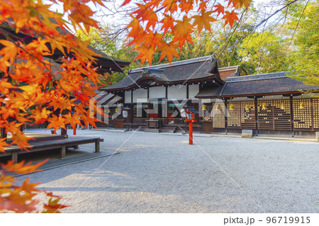 河合神社 赤く染まったモミジの葉と拝殿(京都市左京区下鴨泉川町) 河合神社 赤く染まったモミジの葉と拝殿(京都市左京区下鴨泉川町) 96719915