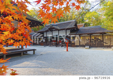 河合神社　赤く染まったモミジの葉と拝殿（京都市左京区下鴨泉川町） 96719916