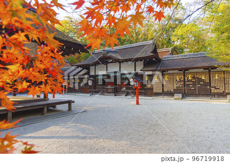 河合神社　赤く染まったモミジの葉と拝殿（京都市左京区下鴨泉川町） 96719918