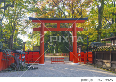 河合神社　鳥居（京都市左京区下鴨泉川町） 96719925