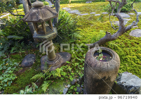 京都 旧三井家下鴨別邸 庭園 京都 旧三井家下鴨別邸 庭園 96719940