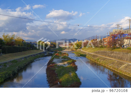 京都　京都市左京区　河合橋から見た高野川 96720108