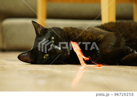 床暖房で暖かくリラックスする黒猫 96720258