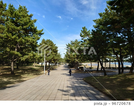 海の公園散歩道 海の公園散歩道 96720678
