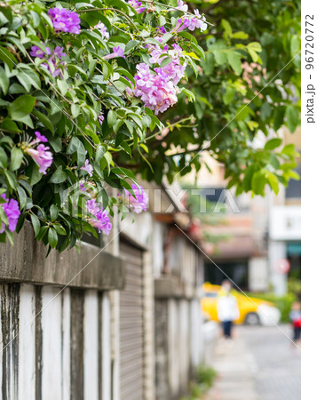 vintage brick wall in Tamsui, New Taipei City, Taiwan 96720772