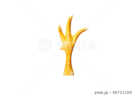 Yellow chicken paw with fingernails isolated on white 96721109