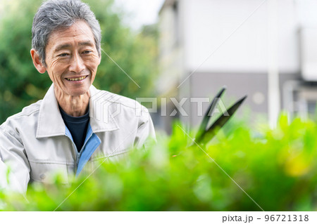 庭木を剪定する職人 植木屋 庭師 庭木を剪定する職人 植木屋 庭師 96721318