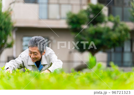 植物をチェックするシニア男性 造園職人 農家 植物をチェックするシニア男性 造園職人 農家 96721323