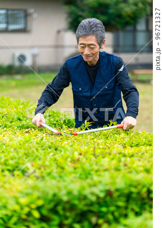 庭木を剪定する職人　植木屋　庭師 96721327