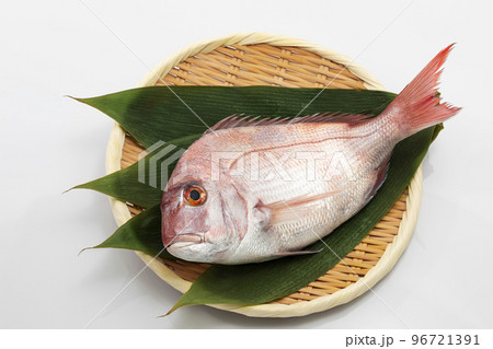 白バックで笹の葉を敷いたざるの上に乗せた真鯛 96721391