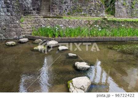 花しょうぶ(ハナショウブ)観光名所:高瀬裏川沿いに、花しょうぶが咲き誇ります。(九州・熊本県玉名市) 花しょうぶ(ハナショウブ)観光名所:高瀬裏川沿いに、花しょうぶが咲き誇ります。(九州・熊本県玉名市) 96722422