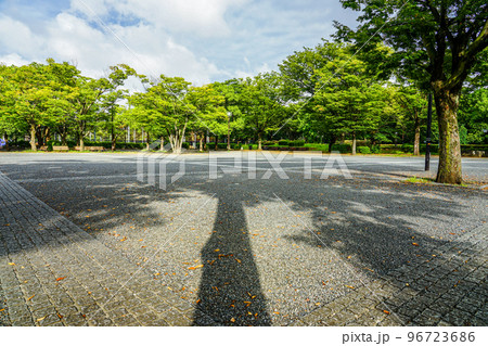 代々木公園イベント広場（東京都渋谷区） 96723686