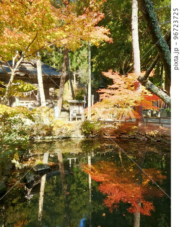 横山不動尊の紅葉 横山不動尊の紅葉 96723725