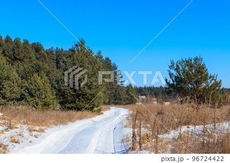 Snowy rural road in the pine forest at winter 96724422
