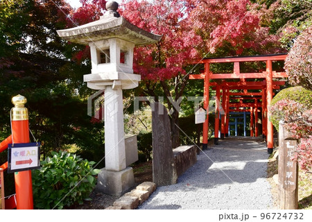 栃木県 足利織姫神社の縁結び坂(女坂)の七色の鳥居入口と紅葉 栃木県 足利織姫神社の縁結び坂(女坂)の七色の鳥居入口と紅葉 96724732