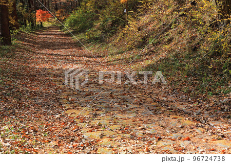 中山道木曽路　鳥居峠　藪原側の石畳 96724738