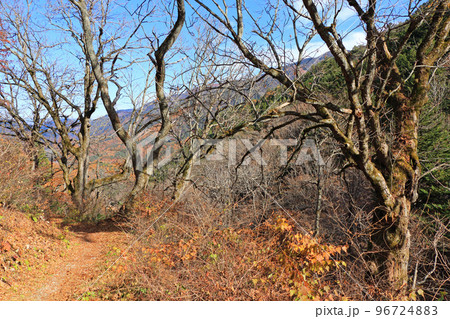 中山道木曽路　鳥居峠の道 96724883