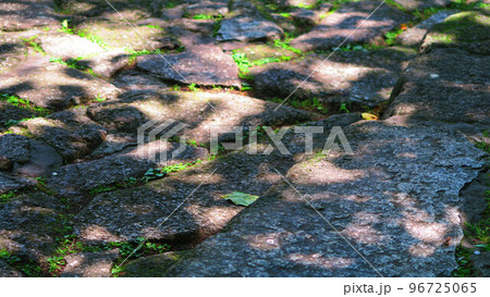東京都北区岸町の名主の滝公園の風景 96725065