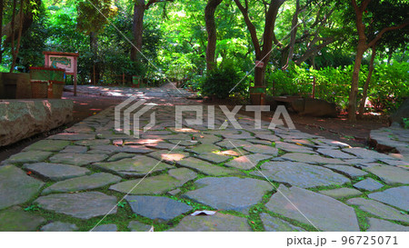 東京都北区岸町の名主の滝公園の風景 96725071