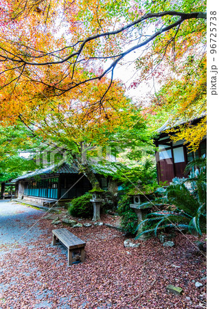 大雄寺の五百羅漢(富川渓谷)の紅葉 【長崎県諫早市】 大雄寺の五百羅漢(富川渓谷)の紅葉 【長崎県諫早市】 96725738