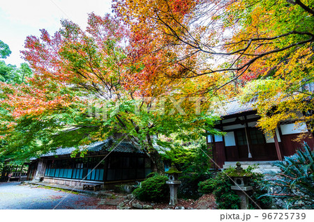 大雄寺の五百羅漢（富川渓谷）の紅葉　【長崎県諫早市】 96725739