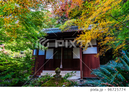 大雄寺の五百羅漢(富川渓谷)の紅葉 【長崎県諫早市】 大雄寺の五百羅漢(富川渓谷)の紅葉 【長崎県諫早市】 96725774