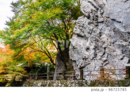 大雄寺の五百羅漢（富川渓谷）の紅葉　【長崎県諫早市】 96725785
