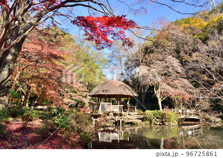 川崎市 宮前区 秋の東高根森林公園 川崎市 宮前区 秋の東高根森林公園 96725861