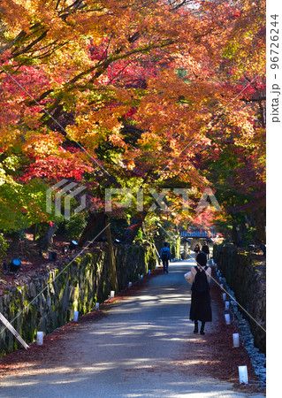 紅葉　興聖寺　琴坂 96726244